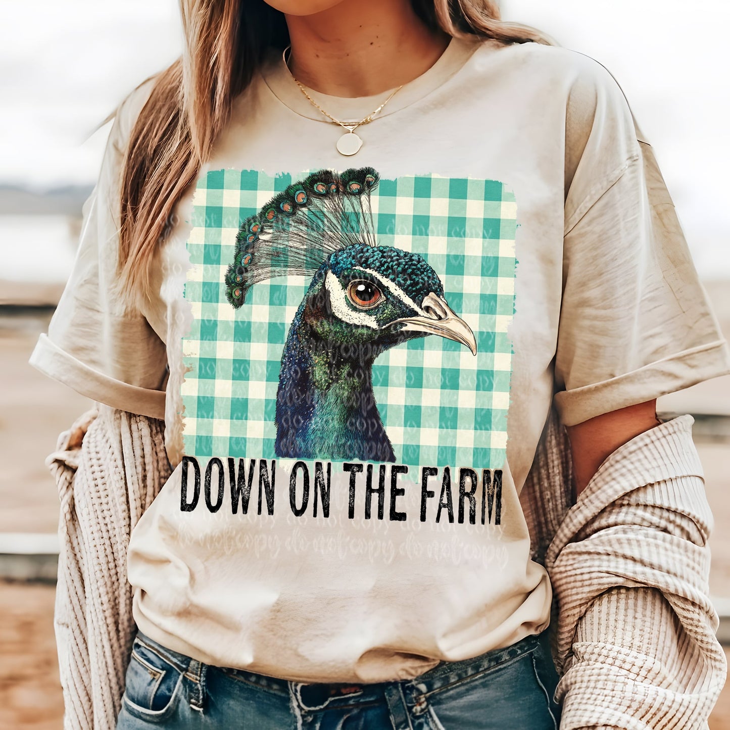 Down On The Farm Animals