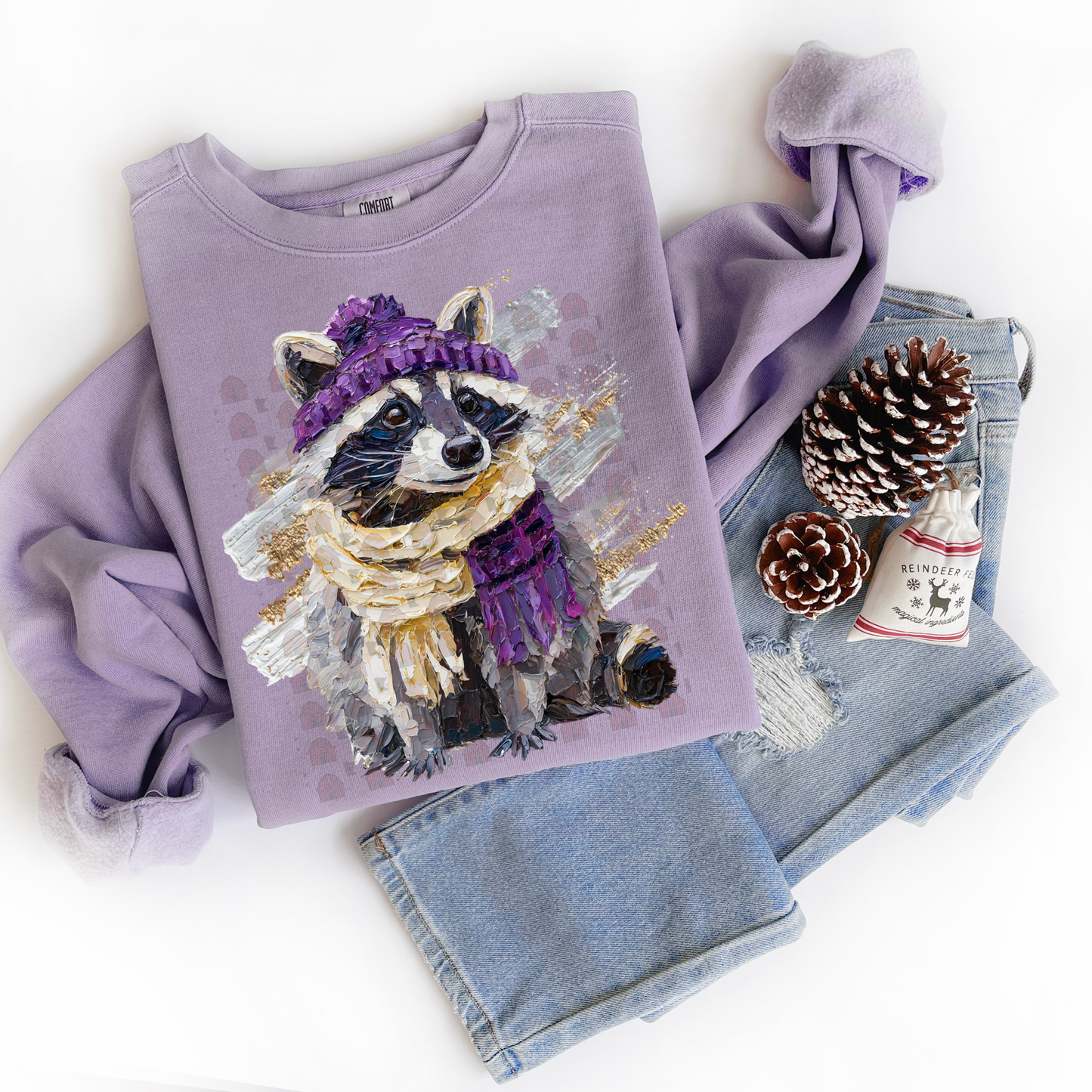 Hand Painted Winter Raccoon