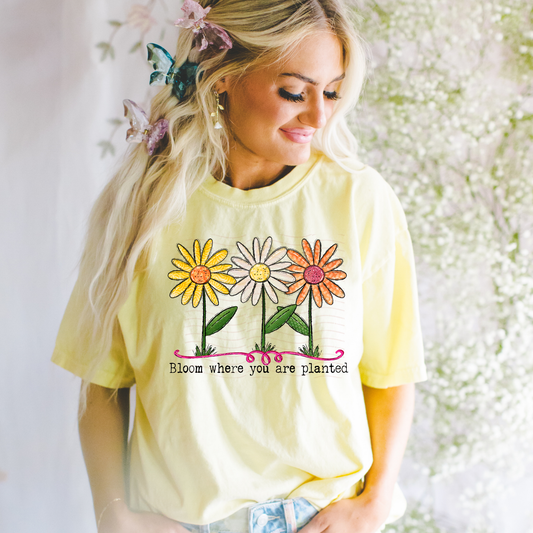 3 Flowers Bloom Where You Are Planted