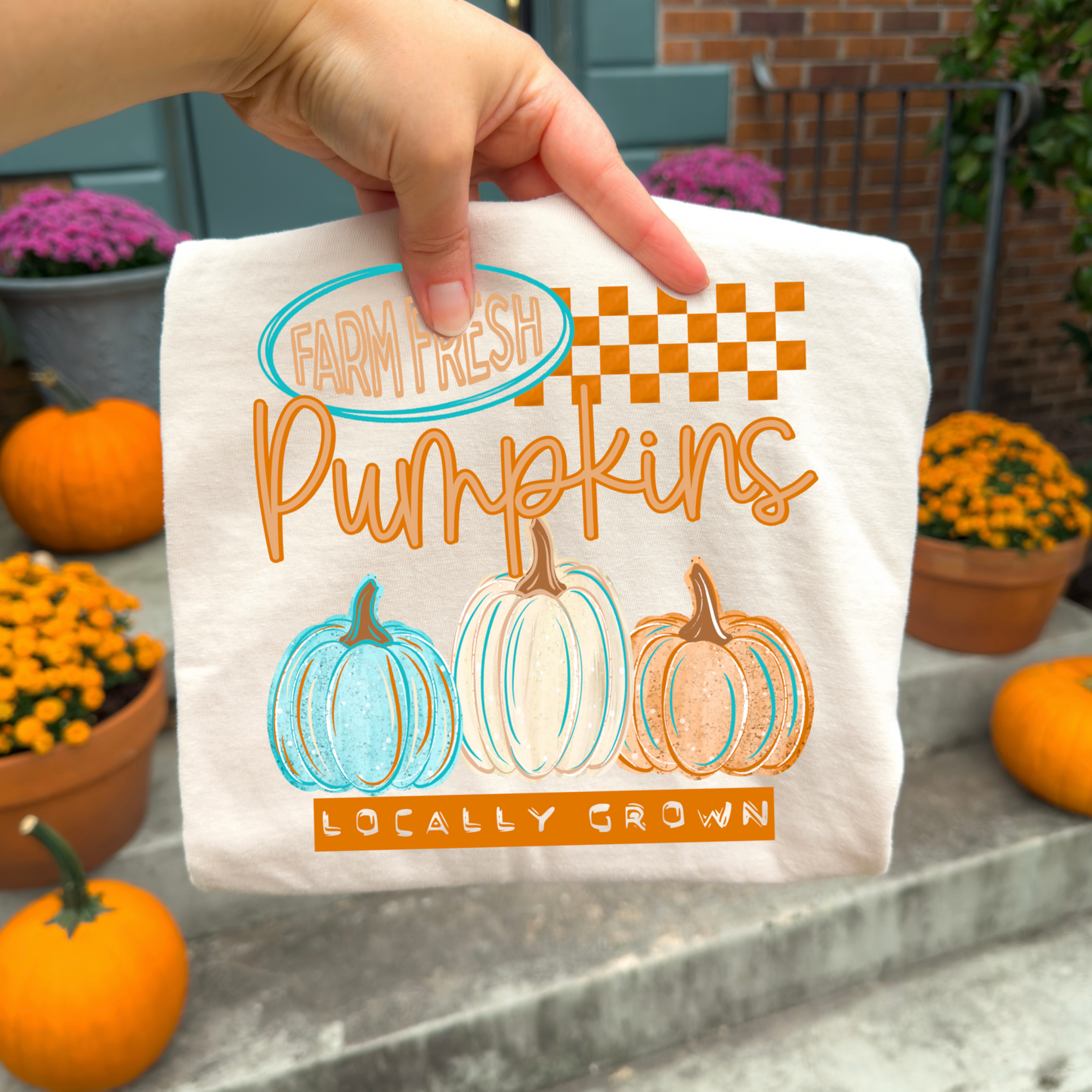 Farm Fresh Checkers Locally Pumpkins