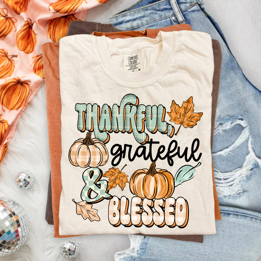 Pumpkins Thankful Grateful Blessed