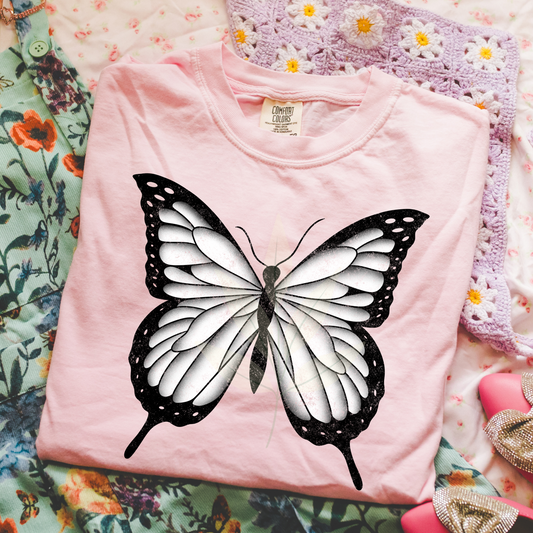 Black And White Butterfly