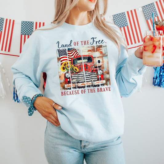 Brushstroke Land Of The Free