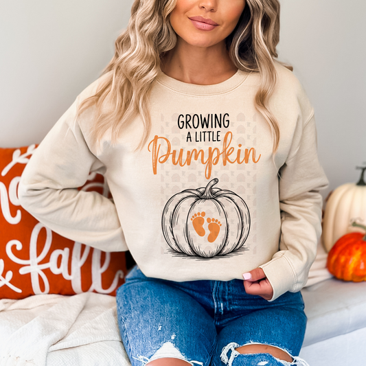 Growing A Little Pumpkin