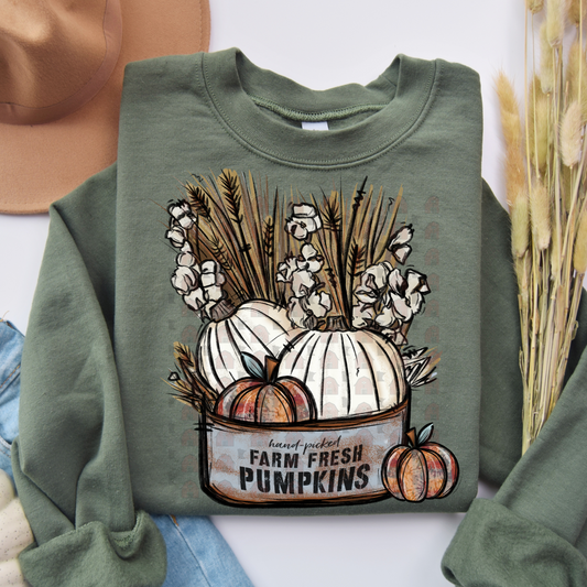 Hand Picked Farm Fresh Pumpkins