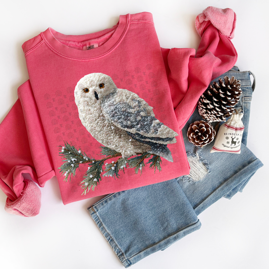 Latch Hook Yarn Winter Snow Owl