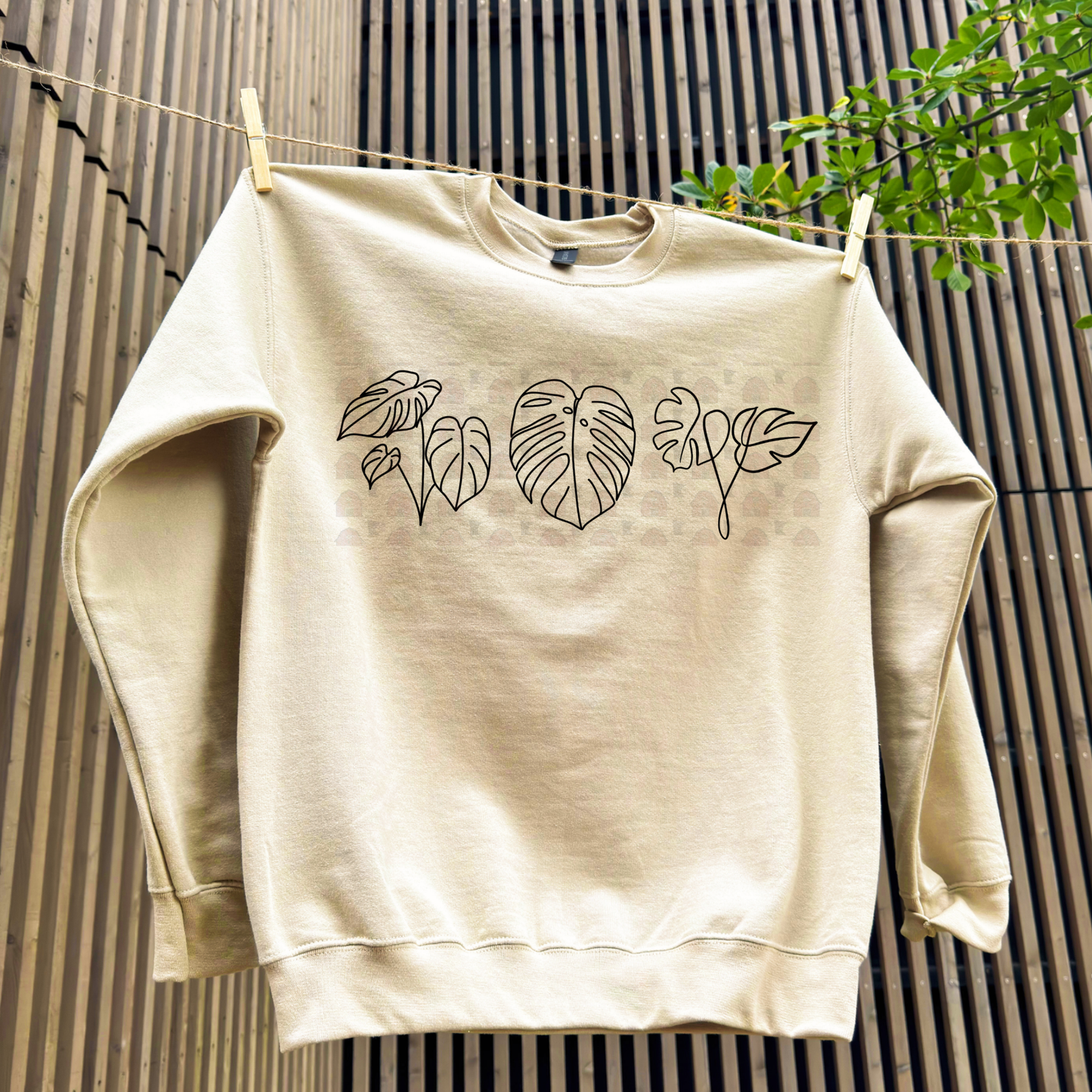 Monstera Leaves