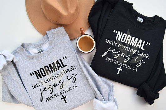 Normal Isn't Coming Back