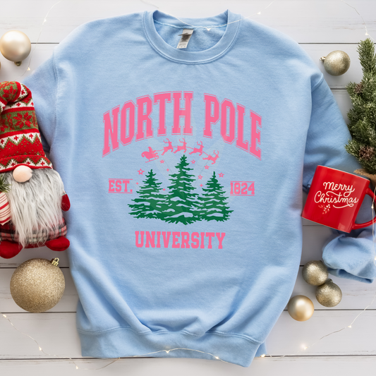 North Pole University 1824