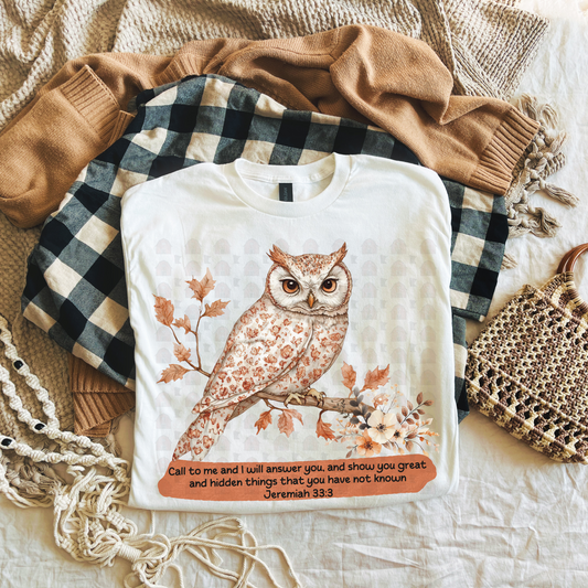 Owl Call To Me And I Will Answer