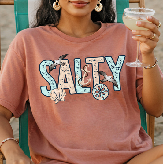Salty Birds And Shells