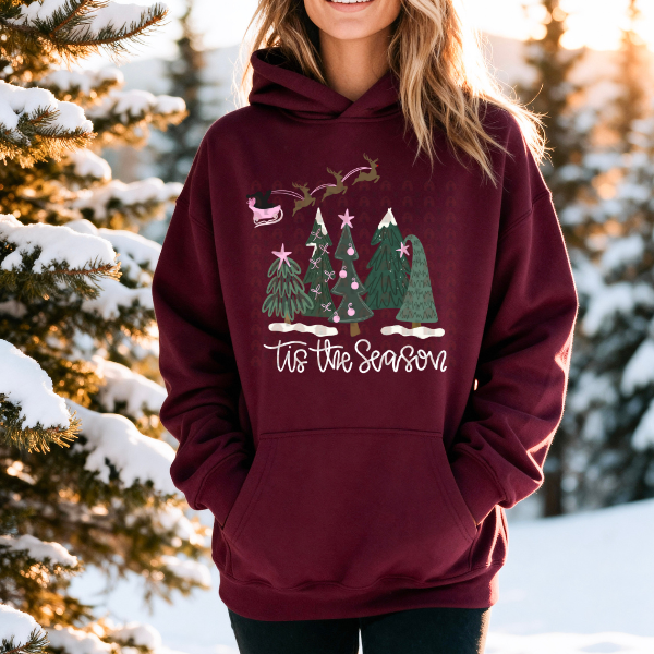 Santa Sleigh Tis The Season