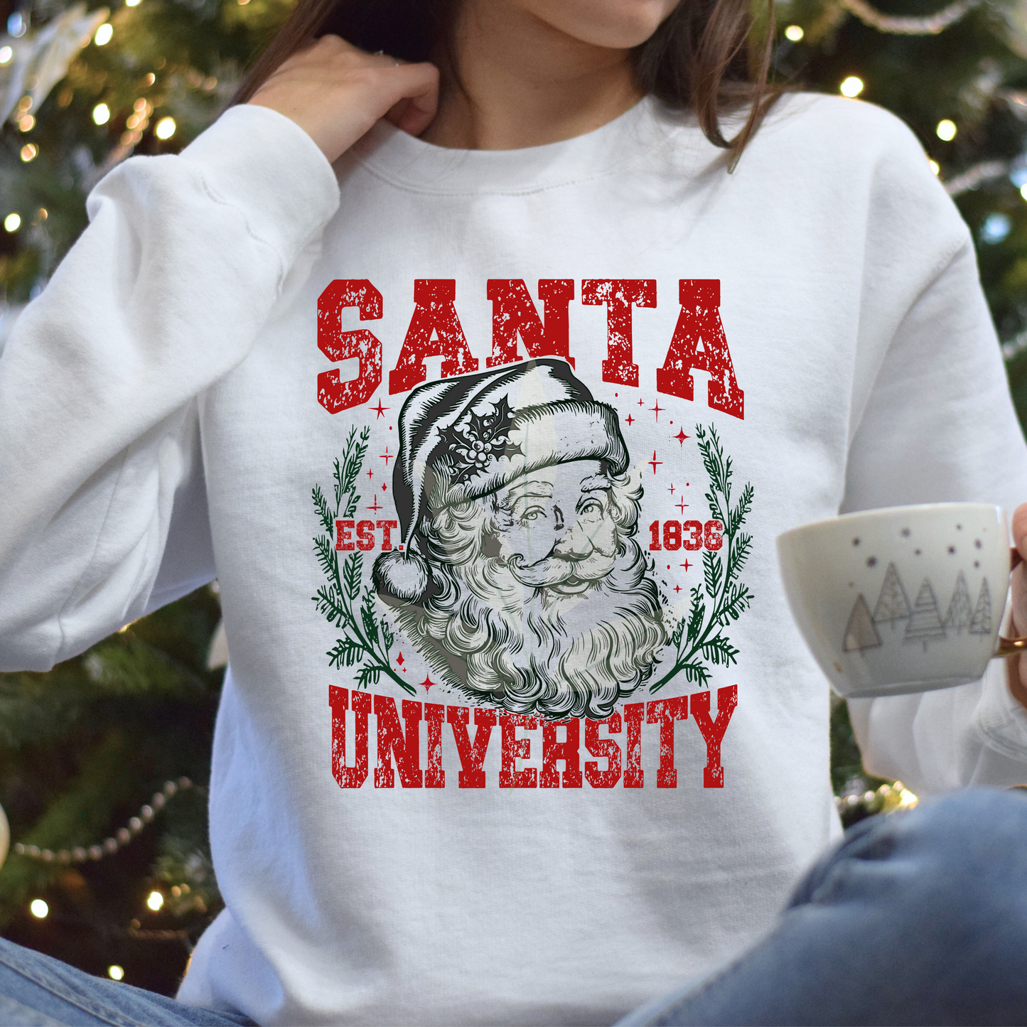 Santa University