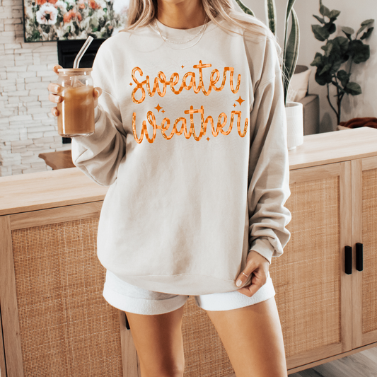 Sweater Weather Checker