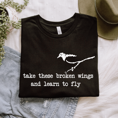 Take These Broken Wings