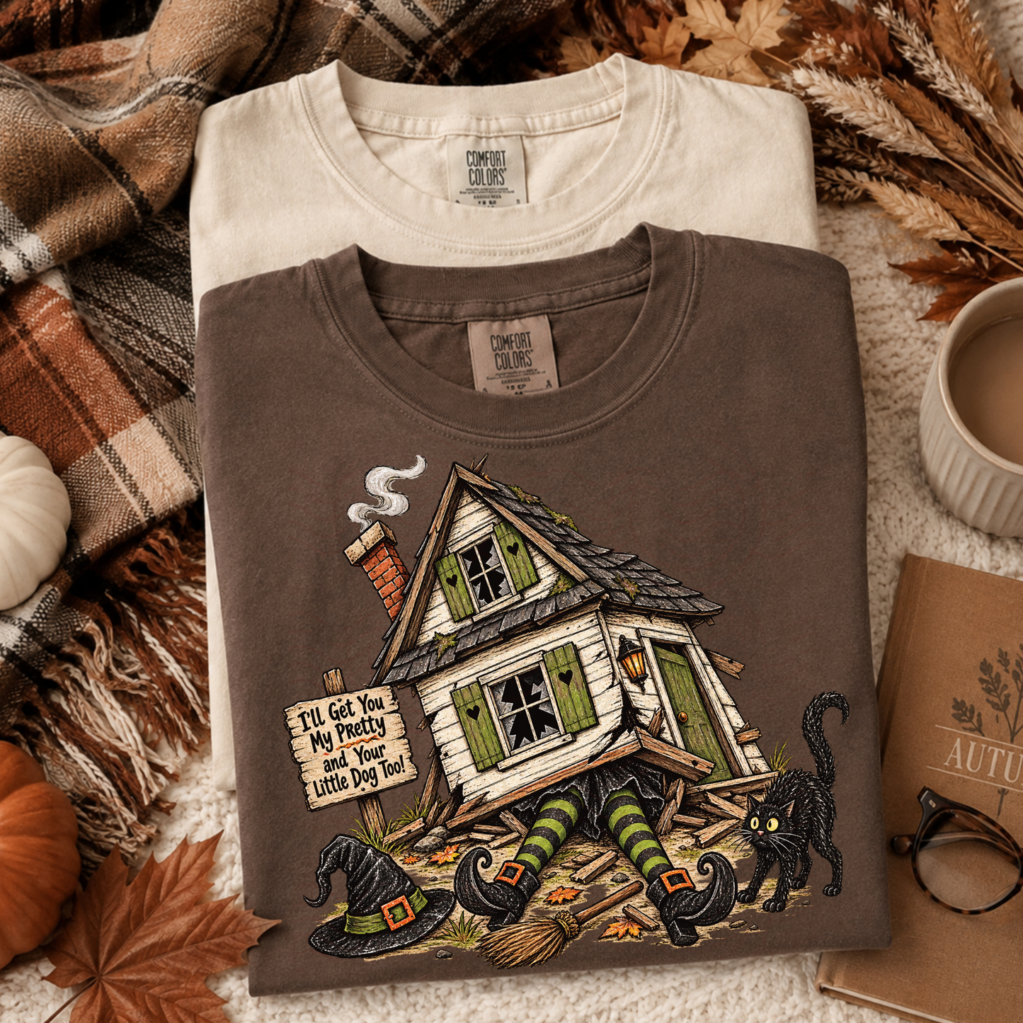 Vintage Witch House